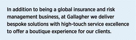 In addition to being a global insurance and risk management business, at Gallagher we deliver bespoke solutions with    