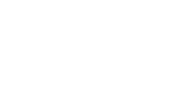 Bespoke incentive plan design for your organisation 