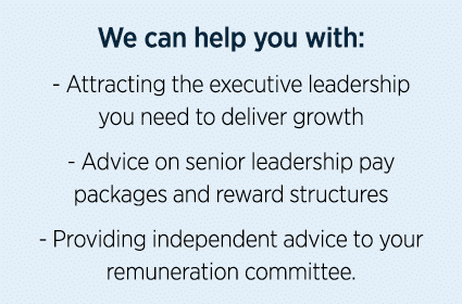 We can help you with: - Attracting the executive leadership you need to deliver growth - Advice on senior leadership    