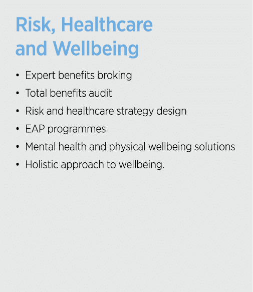 Risk, Healthcare and Wellbeing   Expert benefits broking    Total benefits audit    Risk and healthcare strategy desi   